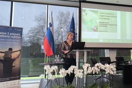 Marjeta Žonta, vodja trajnostnega razvoja v skupini Kolektor.​